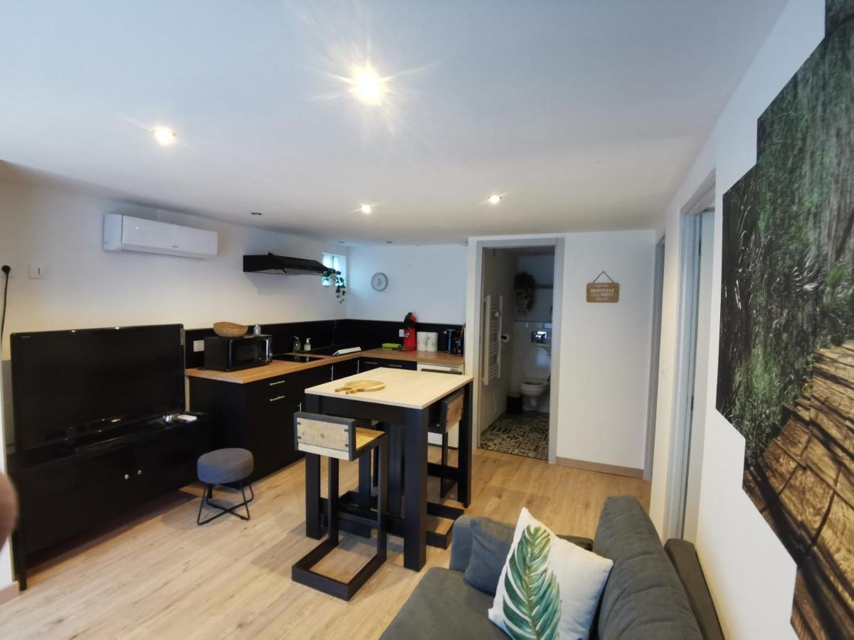 Gite 2 Chambres Avec Piscine Sernhac Bagian luar foto